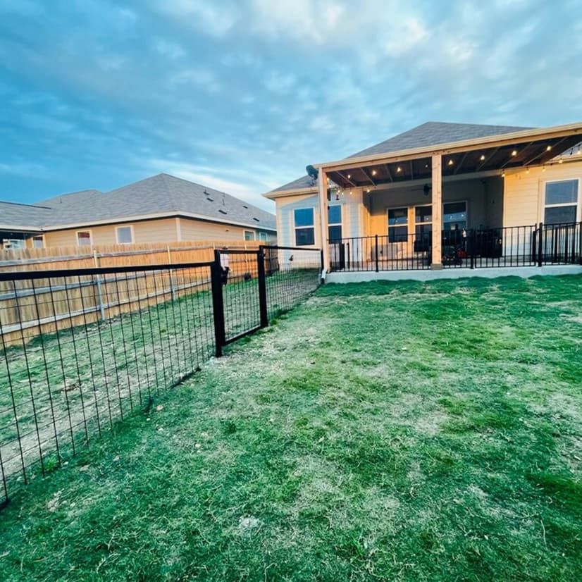 Yard fenced with metal pet fencing